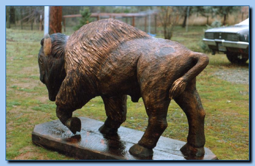 2-75 buffalo-archive-0001